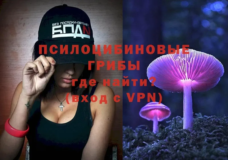 Псилоцибиновые грибы Cubensis  ссылка на мегу ССЫЛКА  Мытищи 